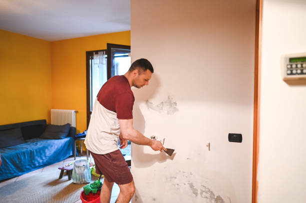 Best Black Mold Removal  in Oelwein, IA